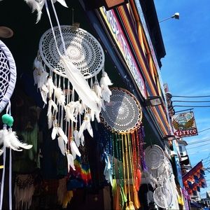 Meet your Posher, Eva